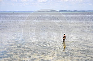 Man collecting shellfishes, Salvador de Bahia (Brazil)