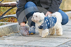 Man collects dog poop