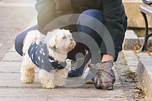 Man collects dog poop into a bag