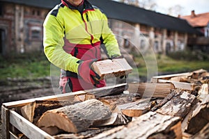 Man collects a pile of firewood on a heap. Coniferous and deciduous stacks of firewood. Industry and worker in concept of power an