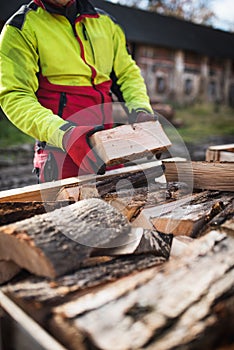 Man collects a pile of firewood on a heap. Coniferous and deciduous stacks of firewood. Industry and worker in concept of power an