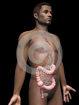 man - colon