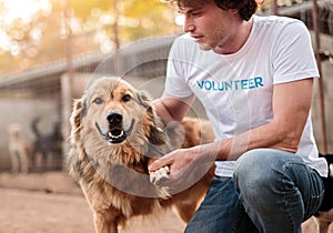 Man communicating with dog in yard of animal shelter