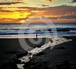 Man Contemplates the Sunset at the Beach