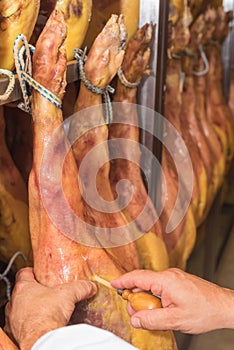 Man controlling the curing of Jamon serrano spanish ham. Food industry concept.