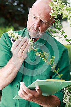 man controlling growth plant