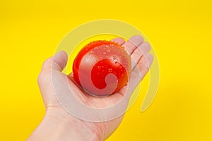 A man cook hand holding a colorful fresh red tomato, isolated on yellow background. White male hand showing a fresh delicious