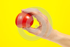 A man cook hand holding a colorful fresh red tomato, isolated on yellow background. White male hand showing a fresh delicious