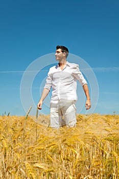 Man corn field