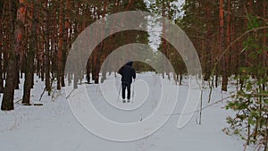 Man cross-country skiing in the woods