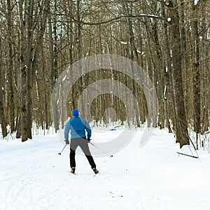 The man on the crosscountry skiing in winter forest.