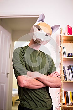 A man crosses his arms while wearing a fox mask