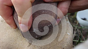 A man crushes and grinds black pepper on a large stone with another stone in an ancient way