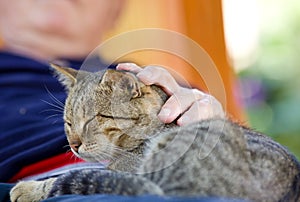 Man cuddling cat