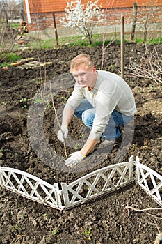Man cultivates raspberry seedlings