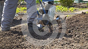 Man cultivates the soil in the garden using a motor cultivator - tiller