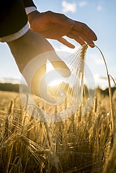 Man cupping the rising sun and wheat in his hands