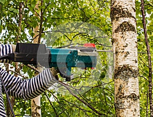 man cut away fresh birch