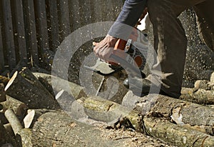 Man cuts a fallen tree.