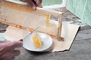 man cuts honeycombs from a honey frame with a knife for eating for tea, honey in honeycombs is good for the health