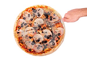 The man cuts the italian pizza with ham, mozzarella, mushrooms and olives, with a pizza cutter. Top view, isolated on white