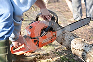 Man cuts tree with chainsaw, concept of deforestation