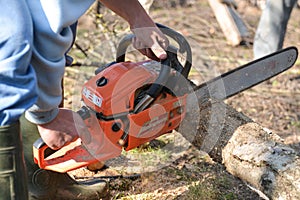 Man cuts tree with chainsaw, concept of deforestation