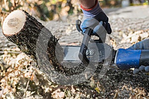 Man cuts trunk with an electric saw