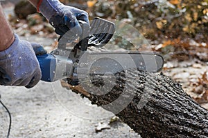 Man cuts trunk with an electric saw