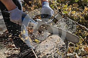 Man cuts trunk with an electric saw