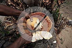 Man cuttiing fresh coconut