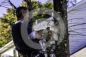 Man cutting branches with chainsaw