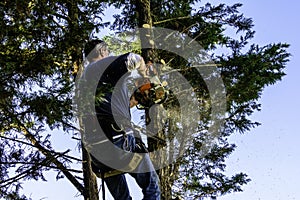 Man cutting branches with chainsaw