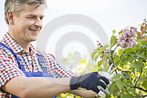 Man cutting branches at garden