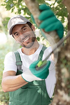 man cutting branches tree using saw