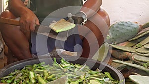 Man cutting cactus plants with large knife, green pieces will be used as food for tortoises, detail on legs and hand