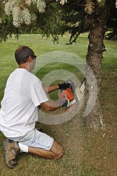 Man cutting down a tree