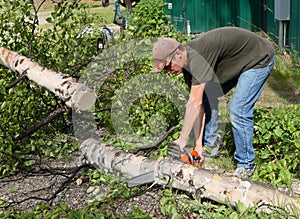 Man cutting firewood