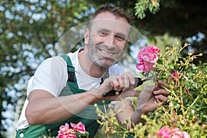 man cutting flowers in backyard