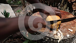 Man cutting fresh coconut by machete
