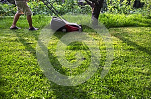 A man cutting the grass with a lawn mower