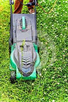 Man cutting green grass with lawn mower in backyard