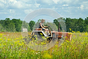 Man cutting hay