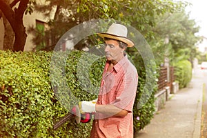 Man cutting a hedge with a hedge cutter