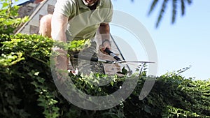 a man cutting a hedge with a pair of scissors,