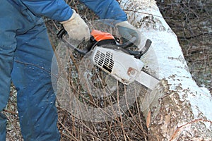 Man cutting tree with chain saw