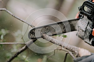 Man cutting a tree with a circular saw