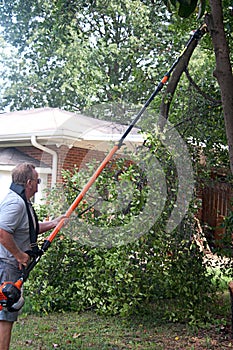 Man Cutting Tree Limbs