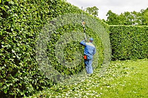 Man is cutting trees in the park. Professional gardener in a uniform cuts bushes with clippers. Pruning garden, hedge. Worker