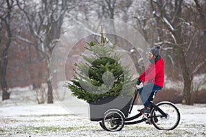 Man cycling home with a big Christmas tree